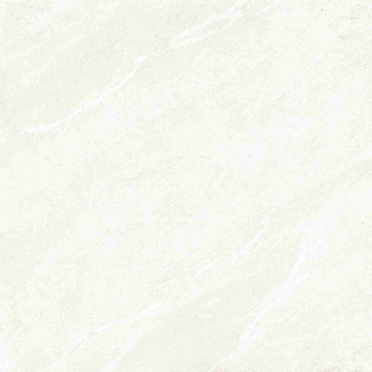 Dhara White Matte 48 x 48